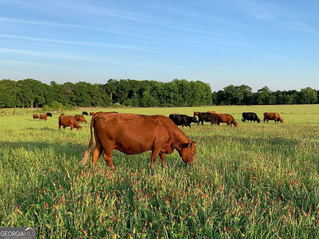 Photo of 627 Buford Road, Arabi, GA 31712 (MLS # 10679931)