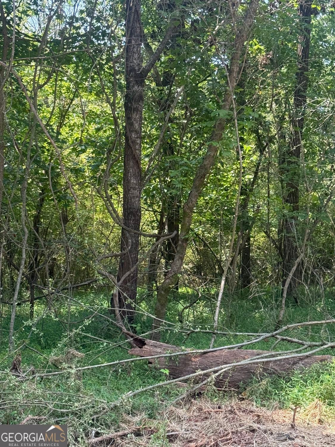 0 Harvest Glen WAY TRACT 2