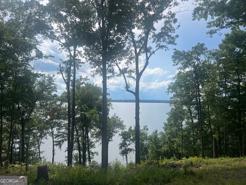 23 Deer TRL Georgetown GA 39854