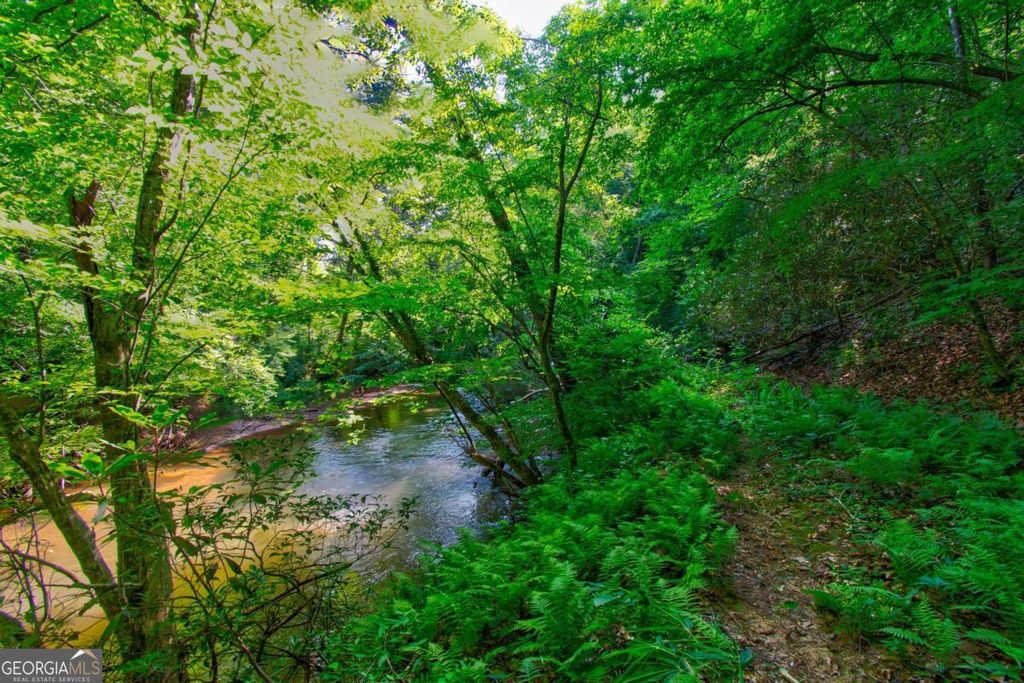 Photo of 531 Tom Bell Odom Road, Dahlonega, GA 30533 (MLS # 10773137)