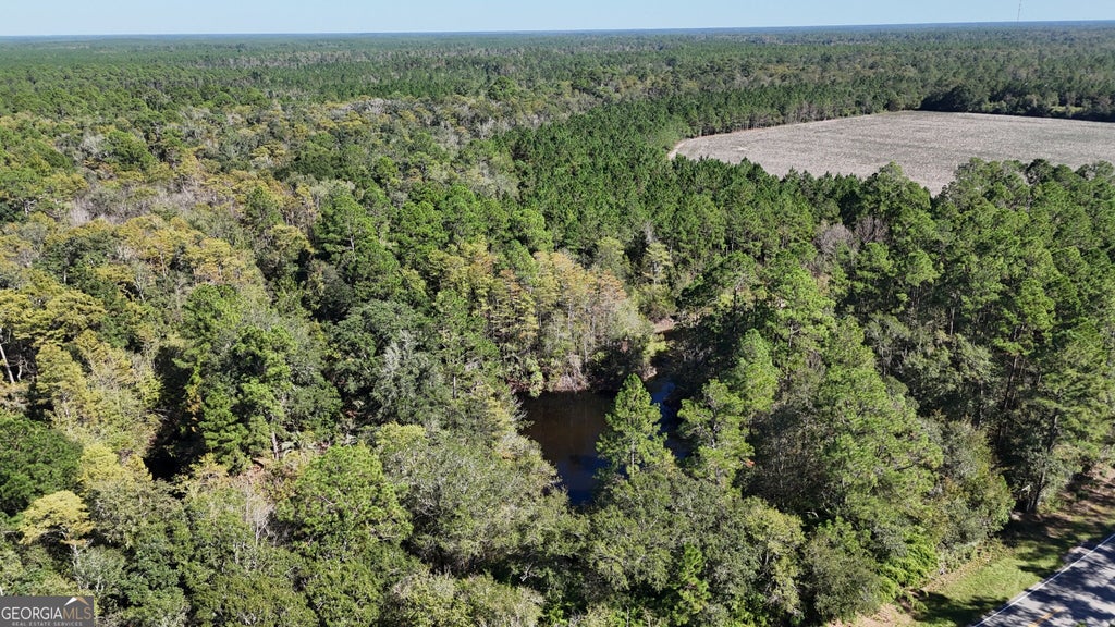 Photo of 4404 Manor Millwood Road S, Manor, GA 31550 (MLS # 10875505)