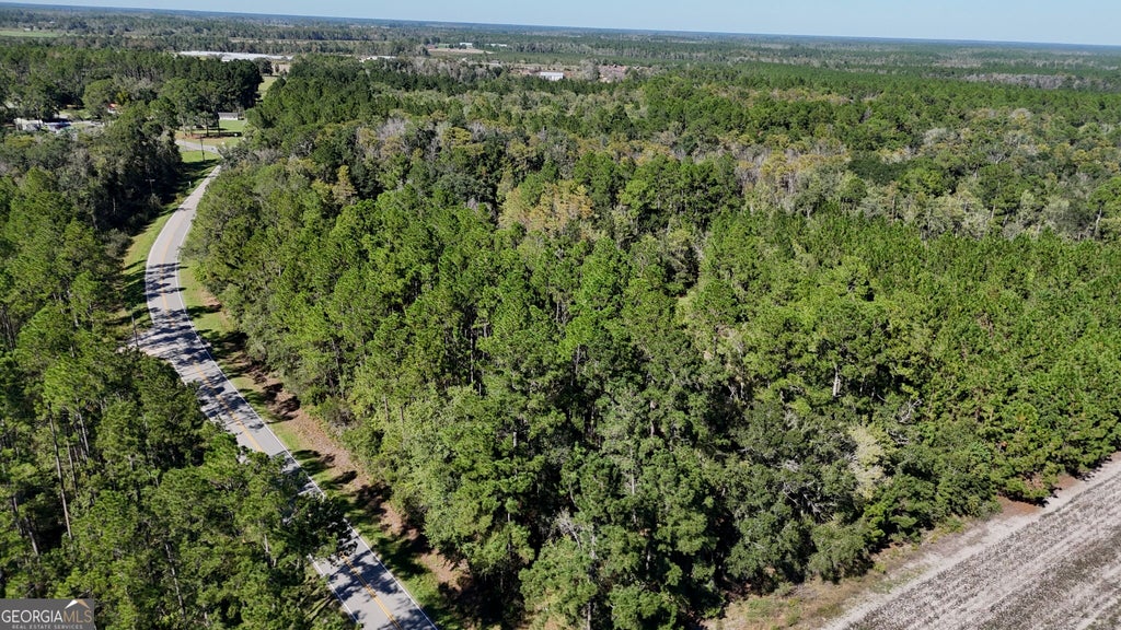 Photo of 4404 Manor Millwood Road S, Manor, GA 31550 (MLS # 10875505)