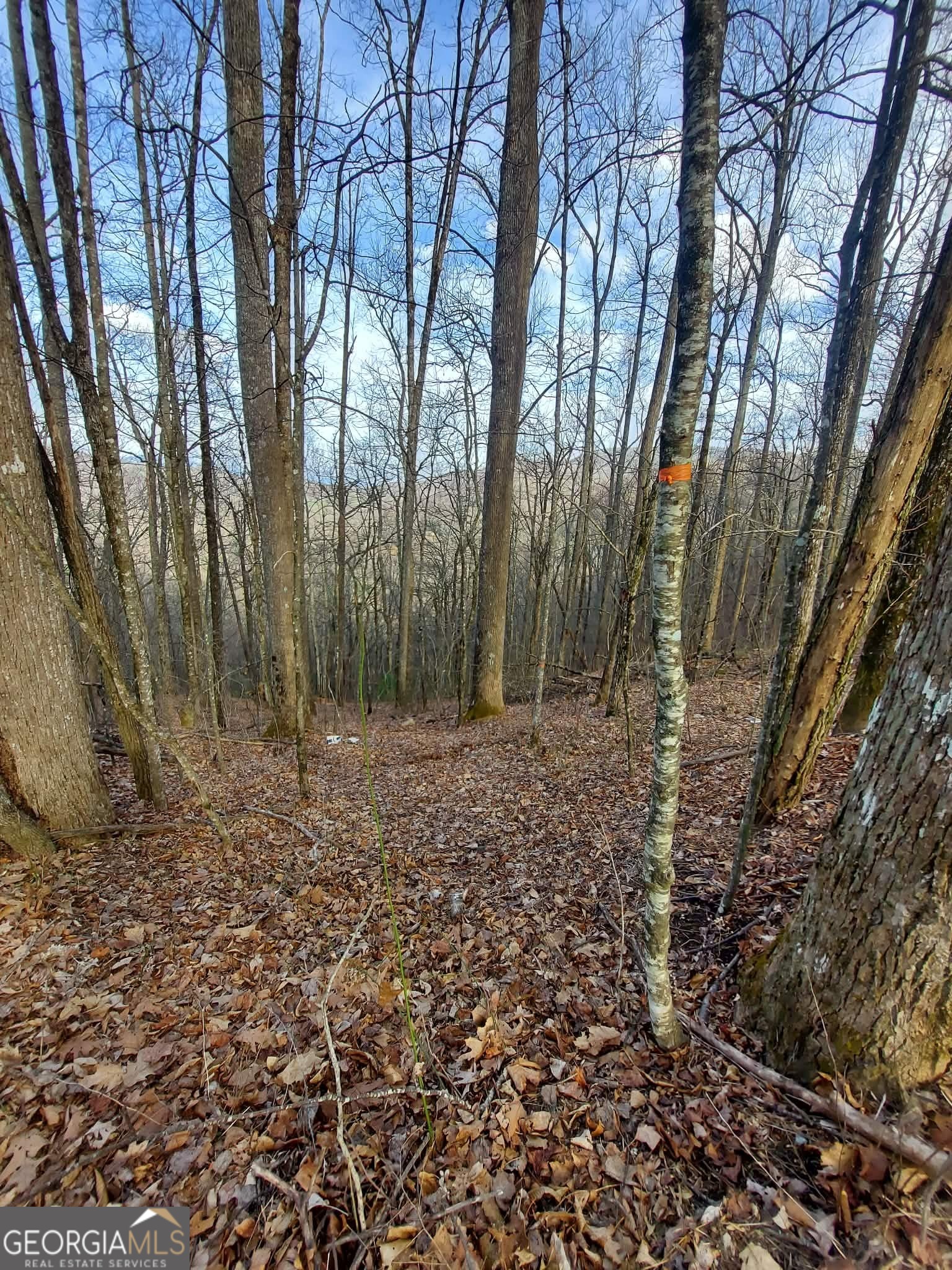 0 LOTS 9 & 9A Wild Bird