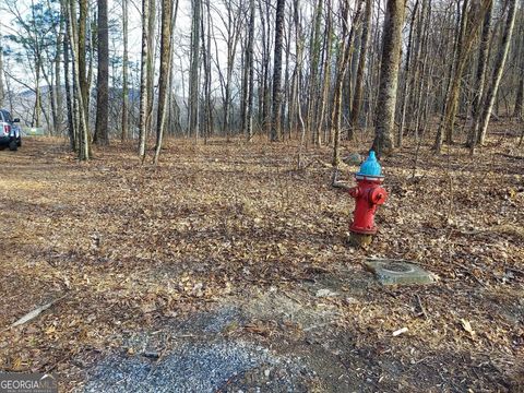 0 LOTS 9 & 9A Wild Bird Sky Valley GA 30537