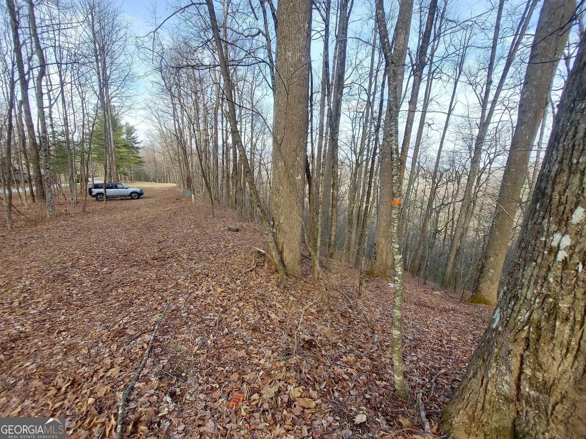 0 LOTS 9 & 9A Wild Bird