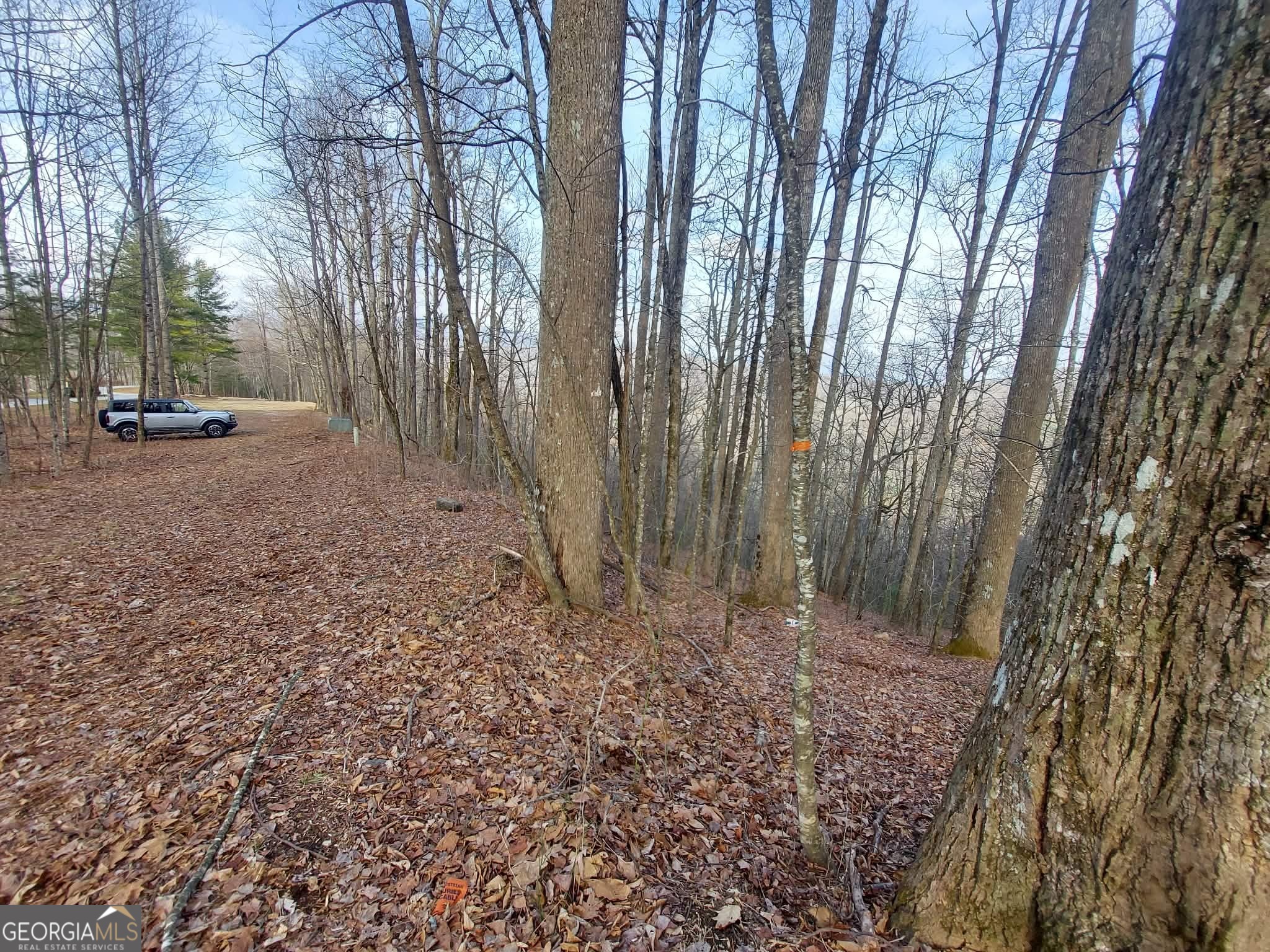 0 LOTS 9 & 9A Wild Bird