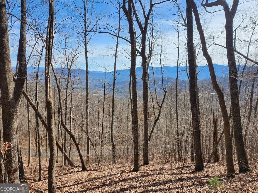 Beautiful view lot in a quiet subdivision that is coming alive with up-scale homes. Don't miss this opportunity to own a piece of the mountains at a very affordable price!!