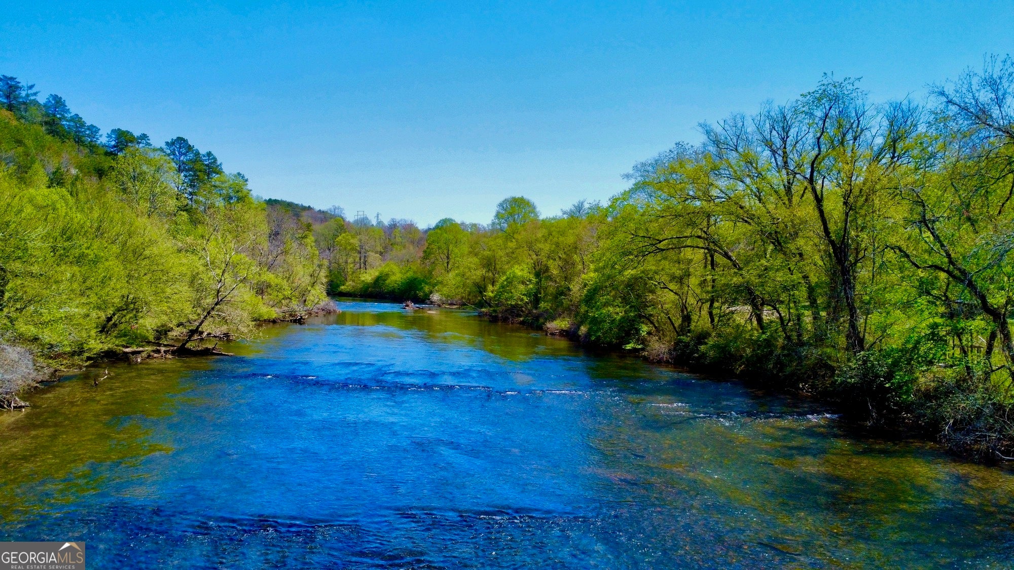 0 Toccoa River Forest