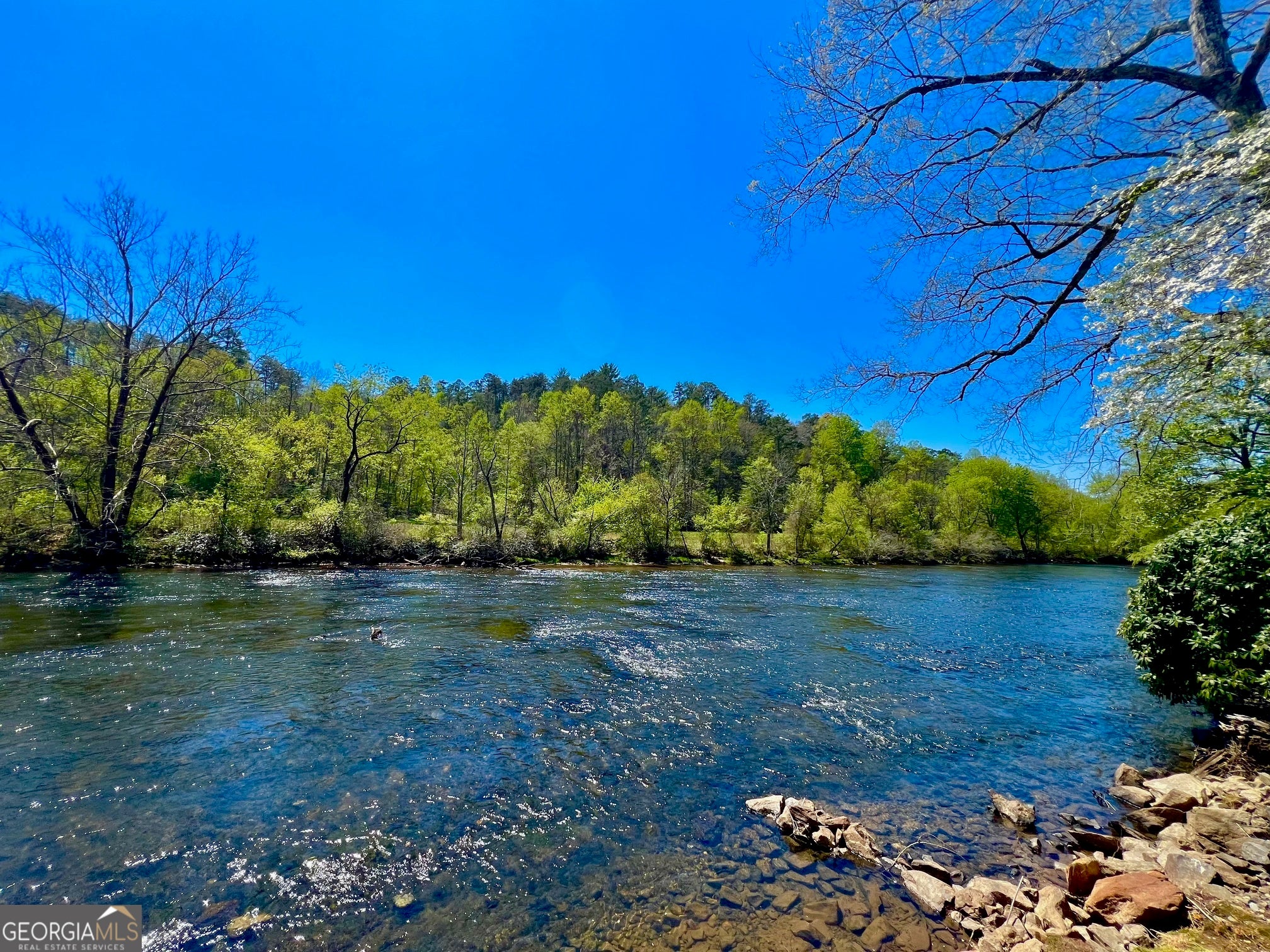 0 Toccoa River Forest