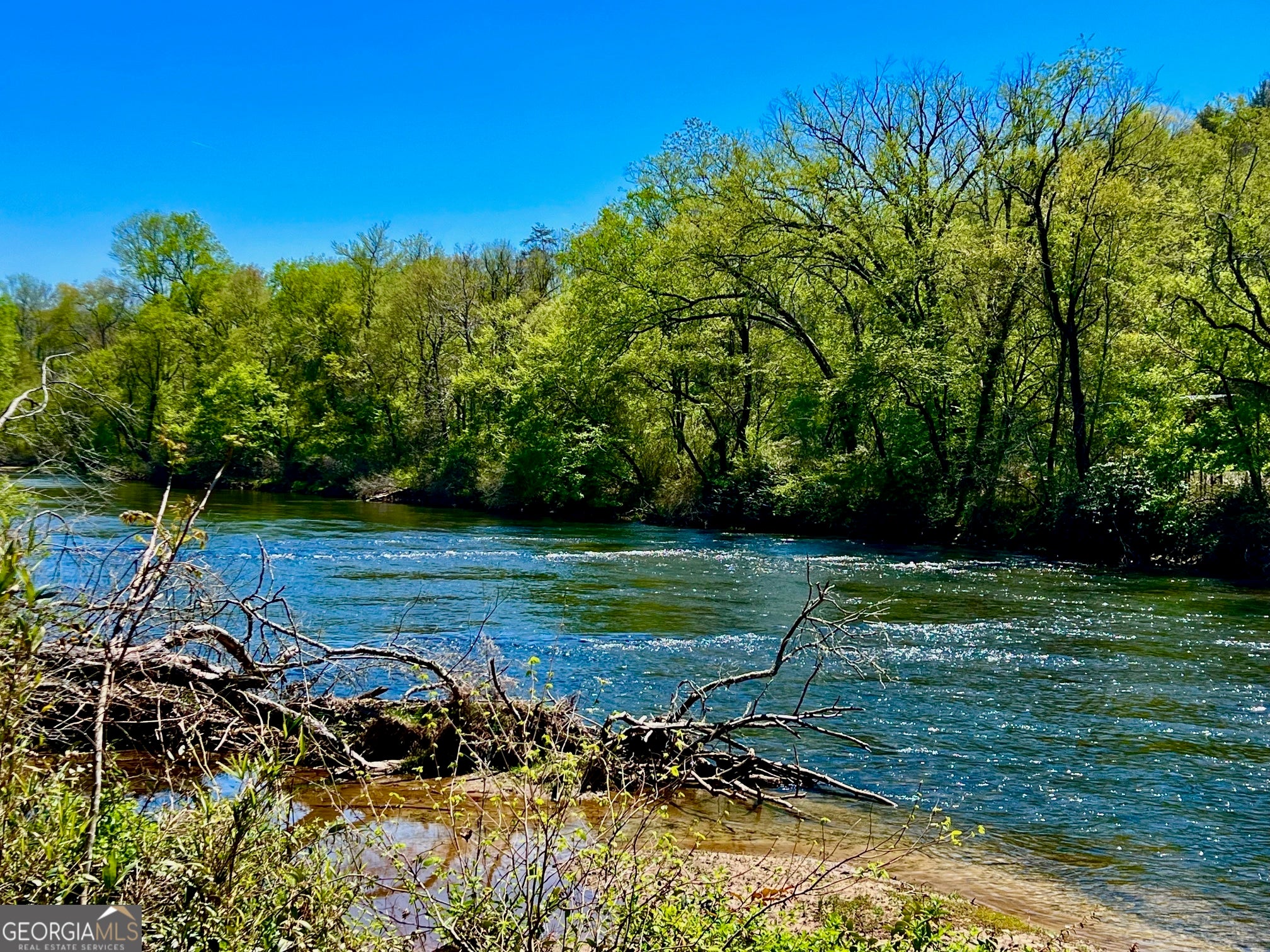 0 Toccoa River Forest