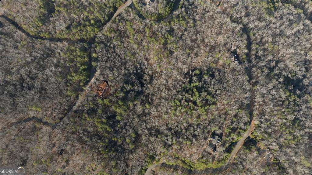 Welcome to your next lot of the Tranquility at Carter's Lake subdivision, located conveniently off HWY 382. Here you will find beautiful homes nestled within within the woods, next to the creeks and lake. This community offers a boat ramp, adorable park, and plenty of views. Come build your next dream home here, and experience tranquility.