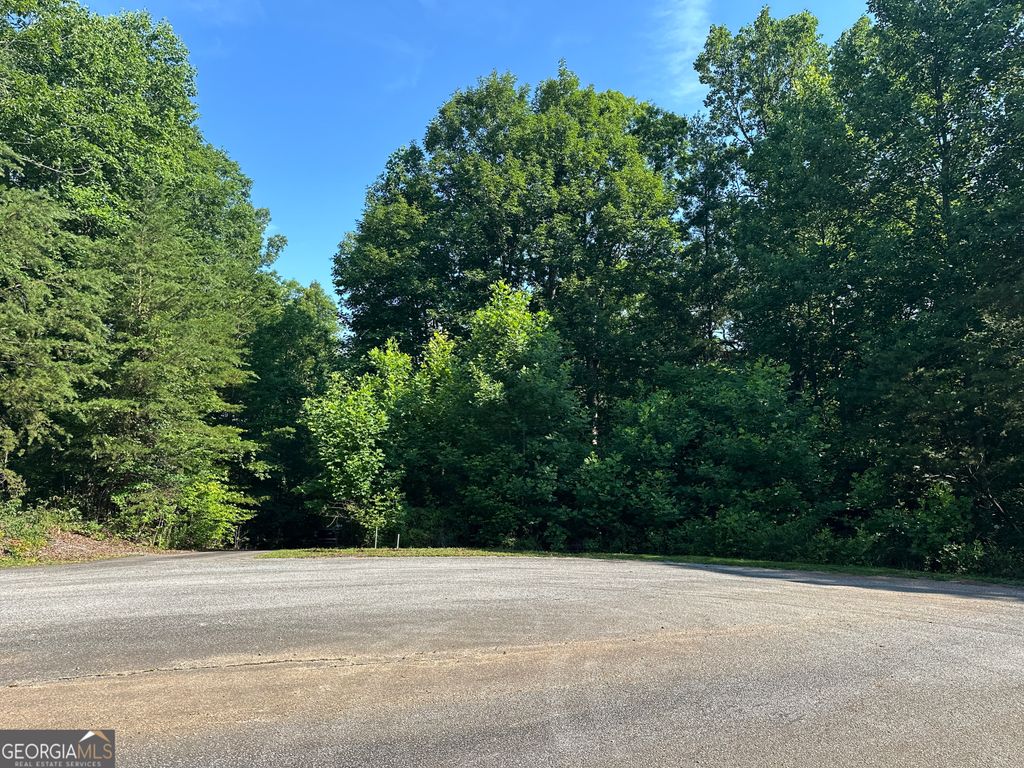 Photo of 678910 Clearview Drive, Cleveland, GA 30528 (MLS # 10790041)