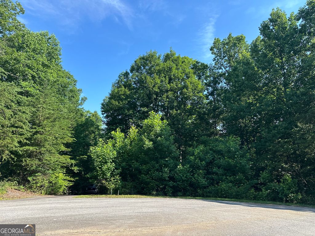Photo of 678910 Clearview Drive, Cleveland, GA 30528 (MLS # 10790041)