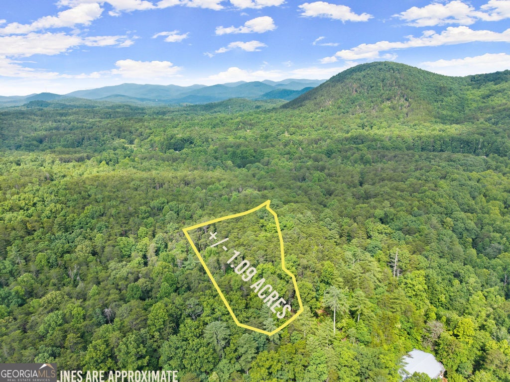 Photo of 0 Sweetheart Lane, Sautee Nacoochee, GA 30571 (MLS # 10790155)