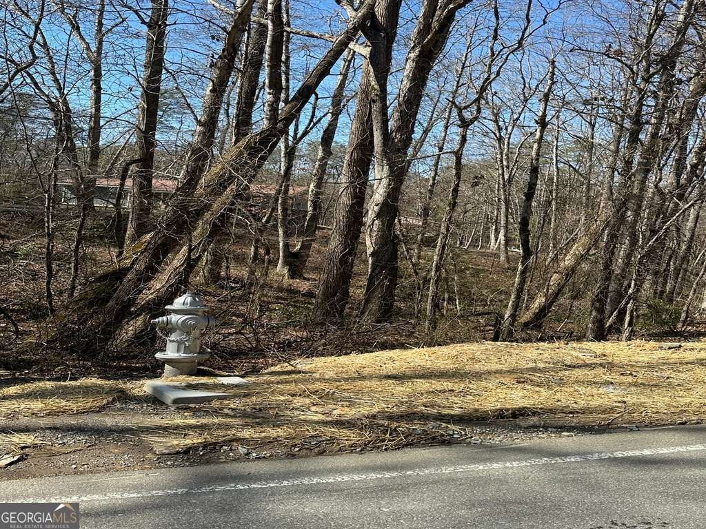 Photo of 167 Henderson Mountain Road, Jasper, GA 30143 (MLS # 10700270)