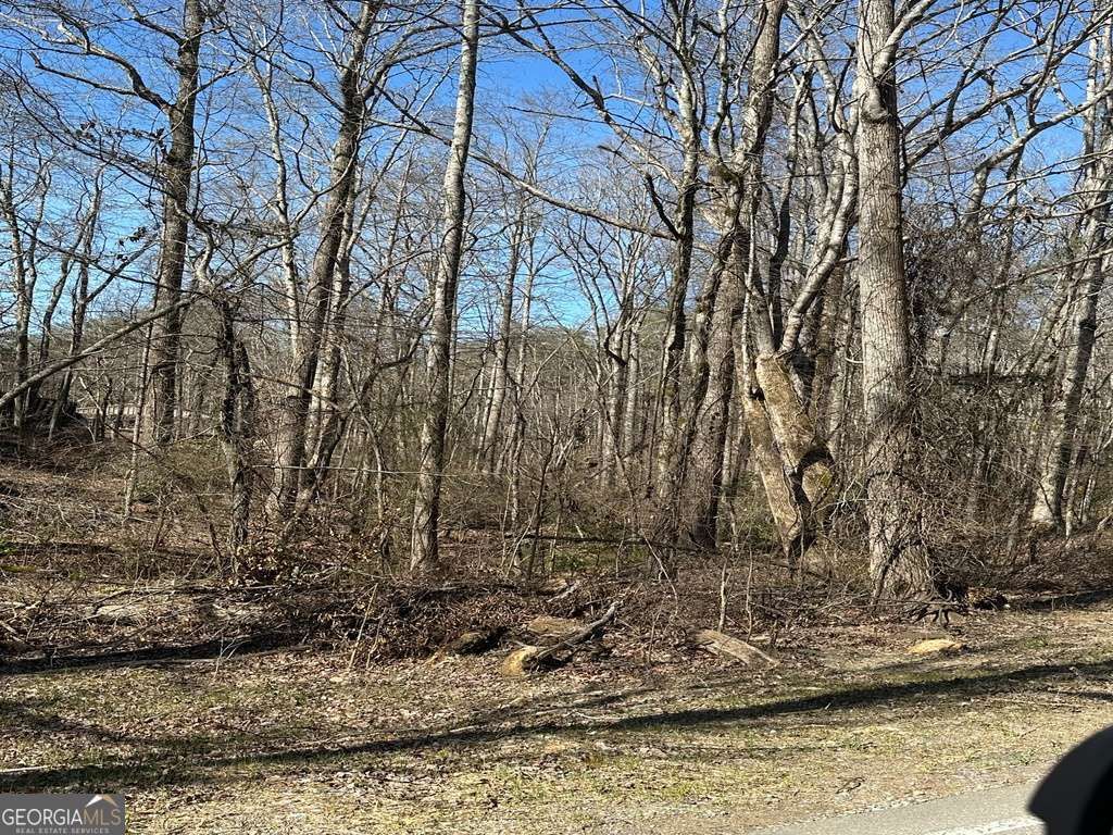 Photo of 167 Henderson Mountain Road, Jasper, GA 30143 (MLS # 10700270)