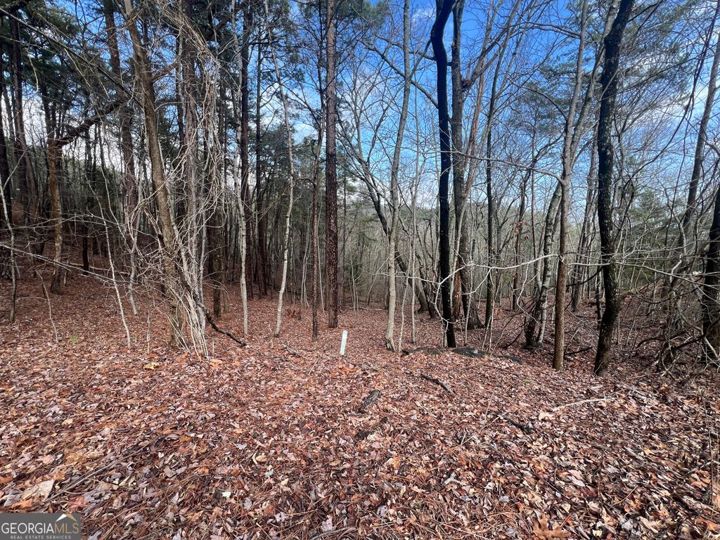 Photo of 0 Spring Ridge Trail, Rome, GA 30165 (MLS # 10715052)