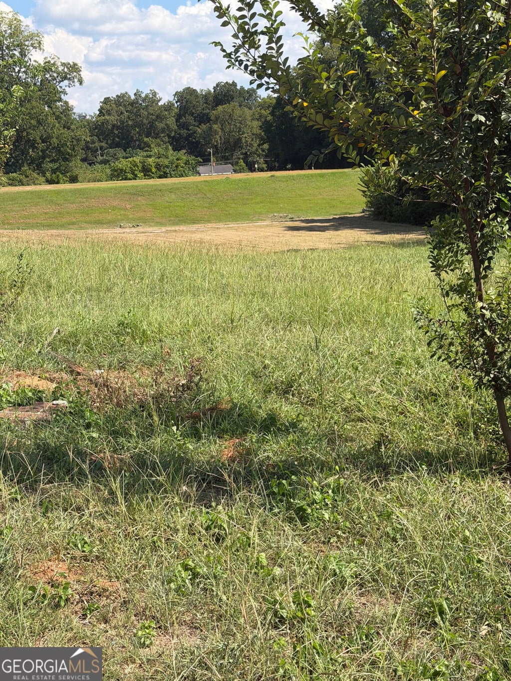 Photo of 504 E 10th Street, West Point, GA 31833 (MLS # 10832950)