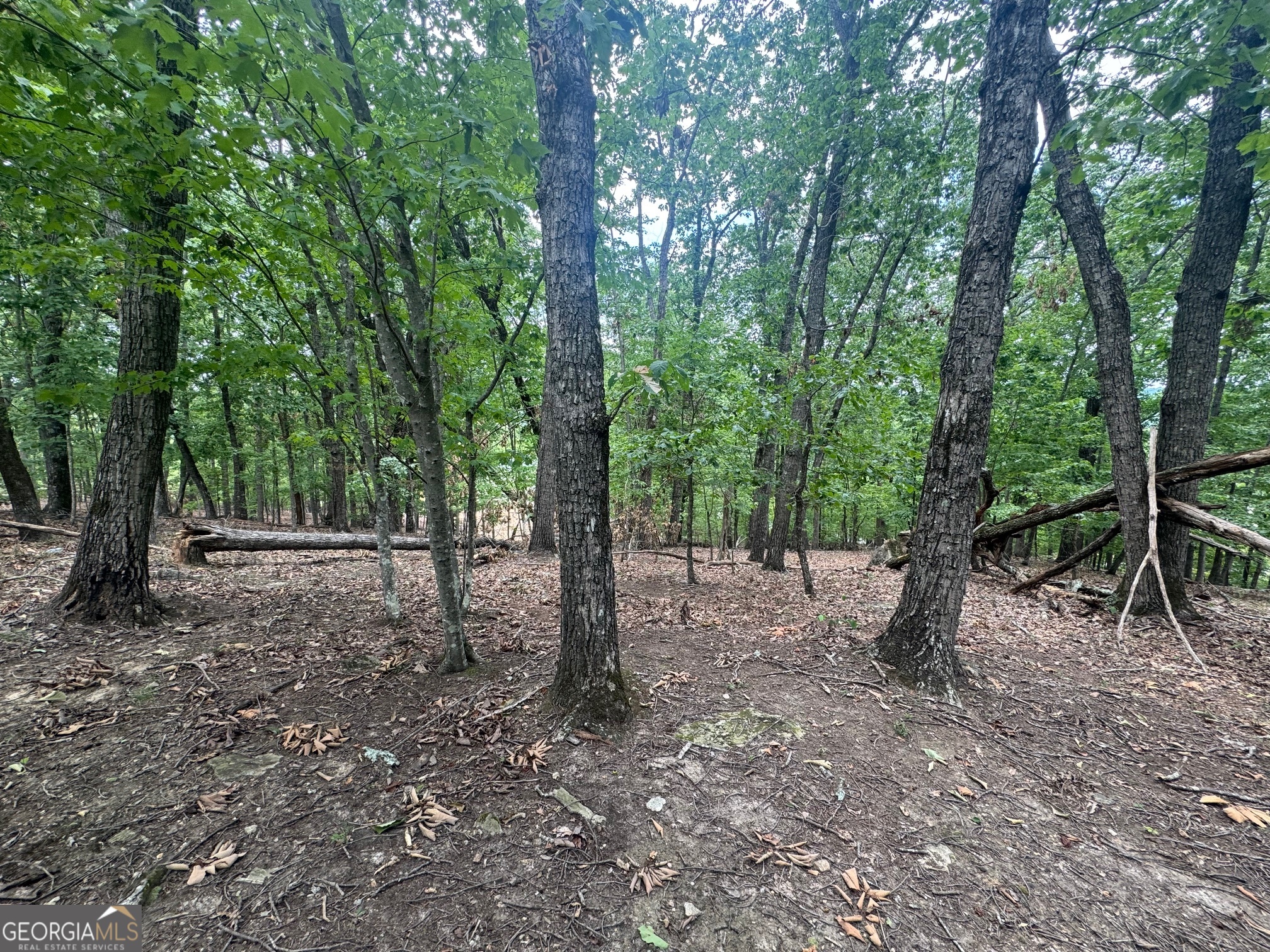 0 Planters Pointe Terrace