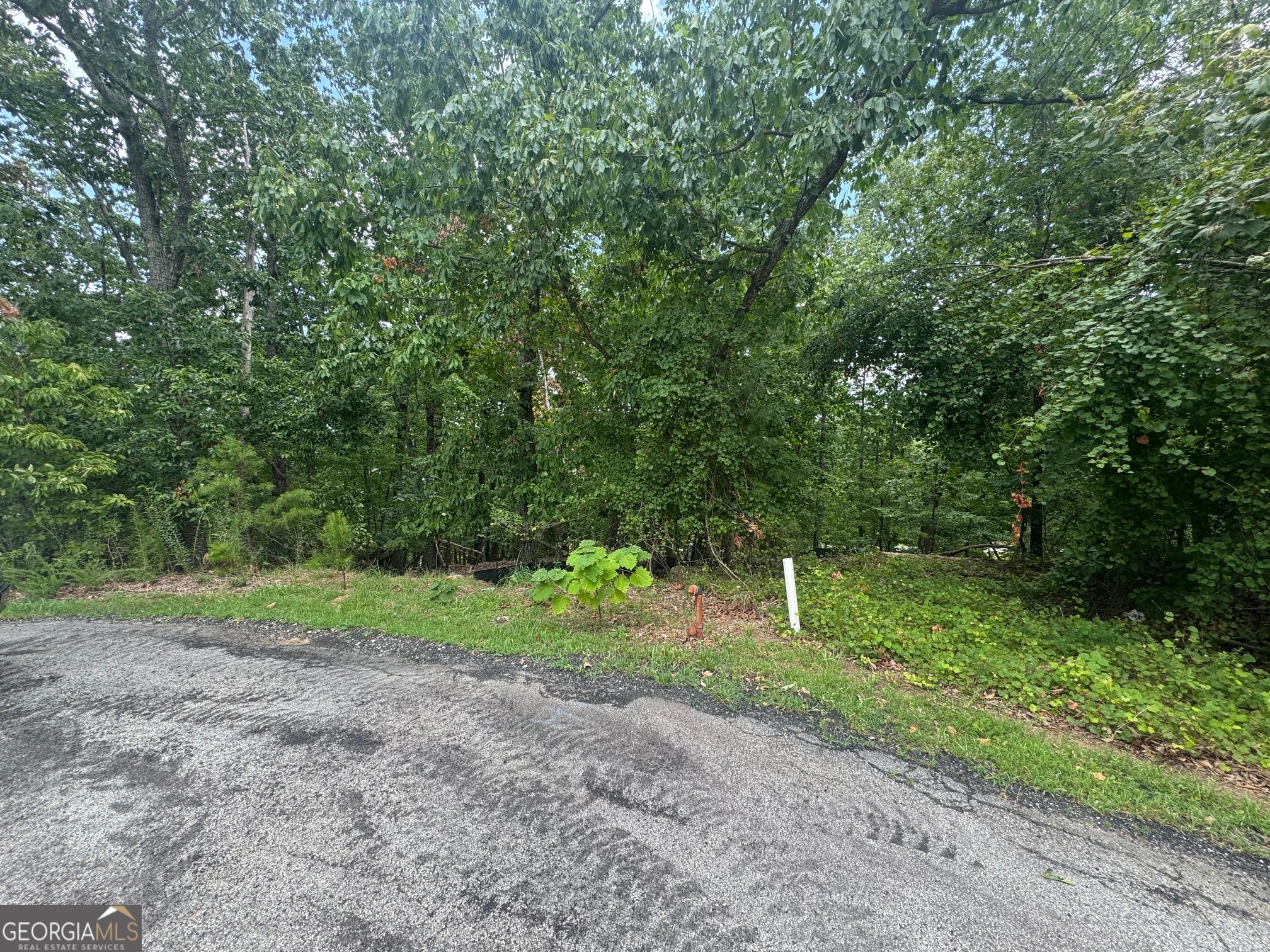 0 Planters Pointe Terrace