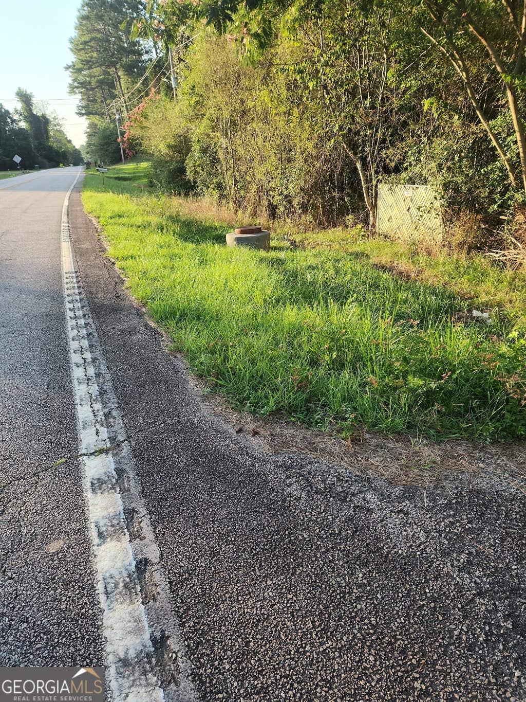 Photo of 0 W. Main Street, Hogansville, GA 30320 (MLS # 10805416)