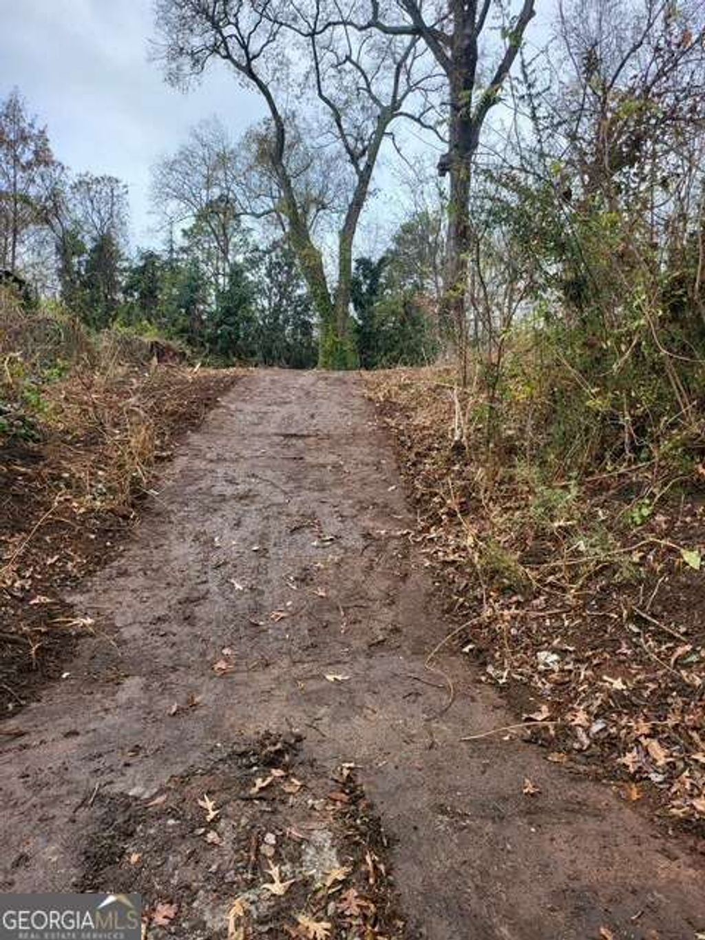 Photo of 2123 Jernigan Drive SE, Atlanta, GA 30315 (MLS # 10655679)