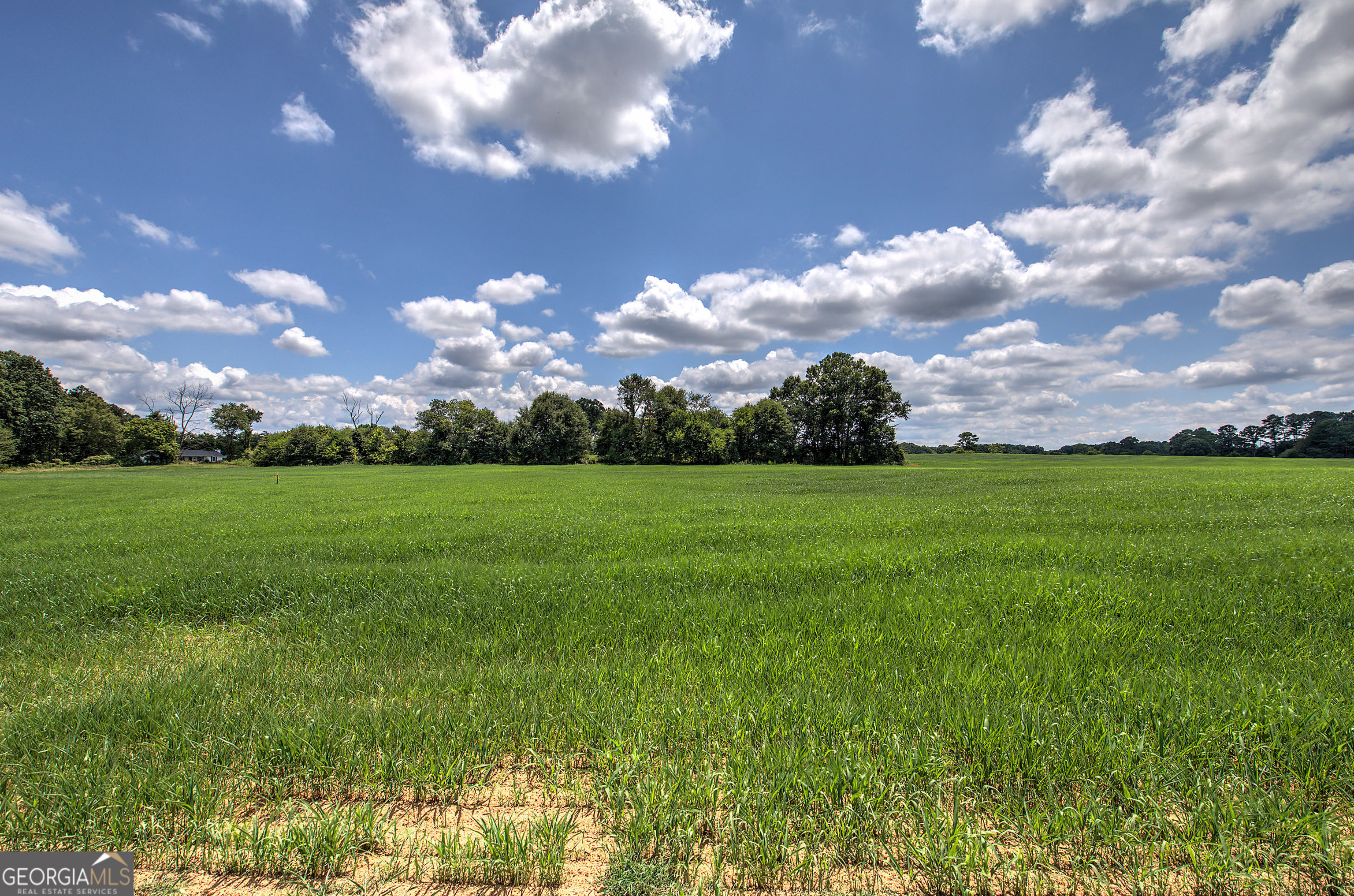 0 Taylorsville Macedonia/Miller Farm RD