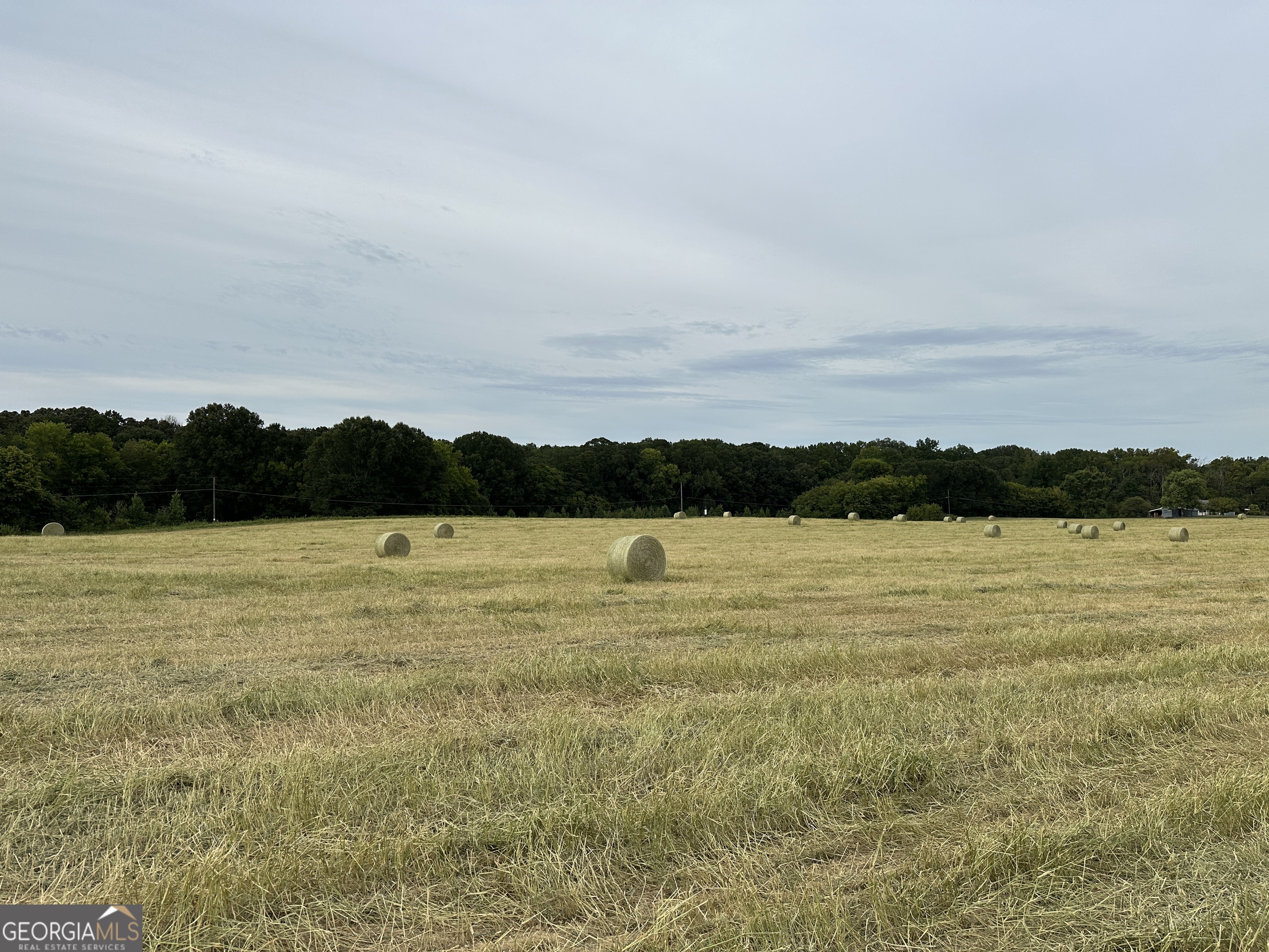 0 Taylorsville Macedonia/Miller Farm RD