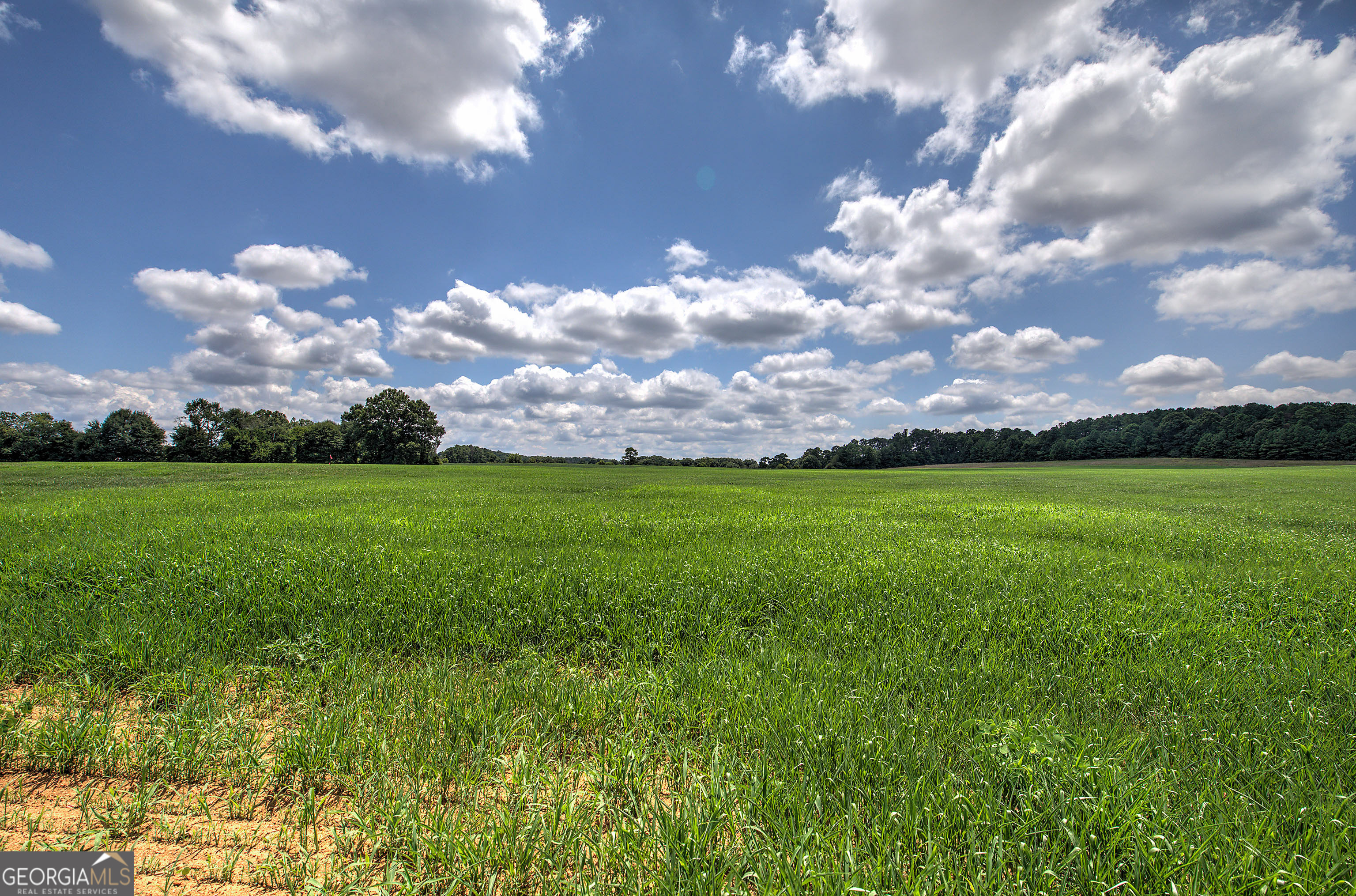 0 Taylorsville Macedonia/Miller Farm RD