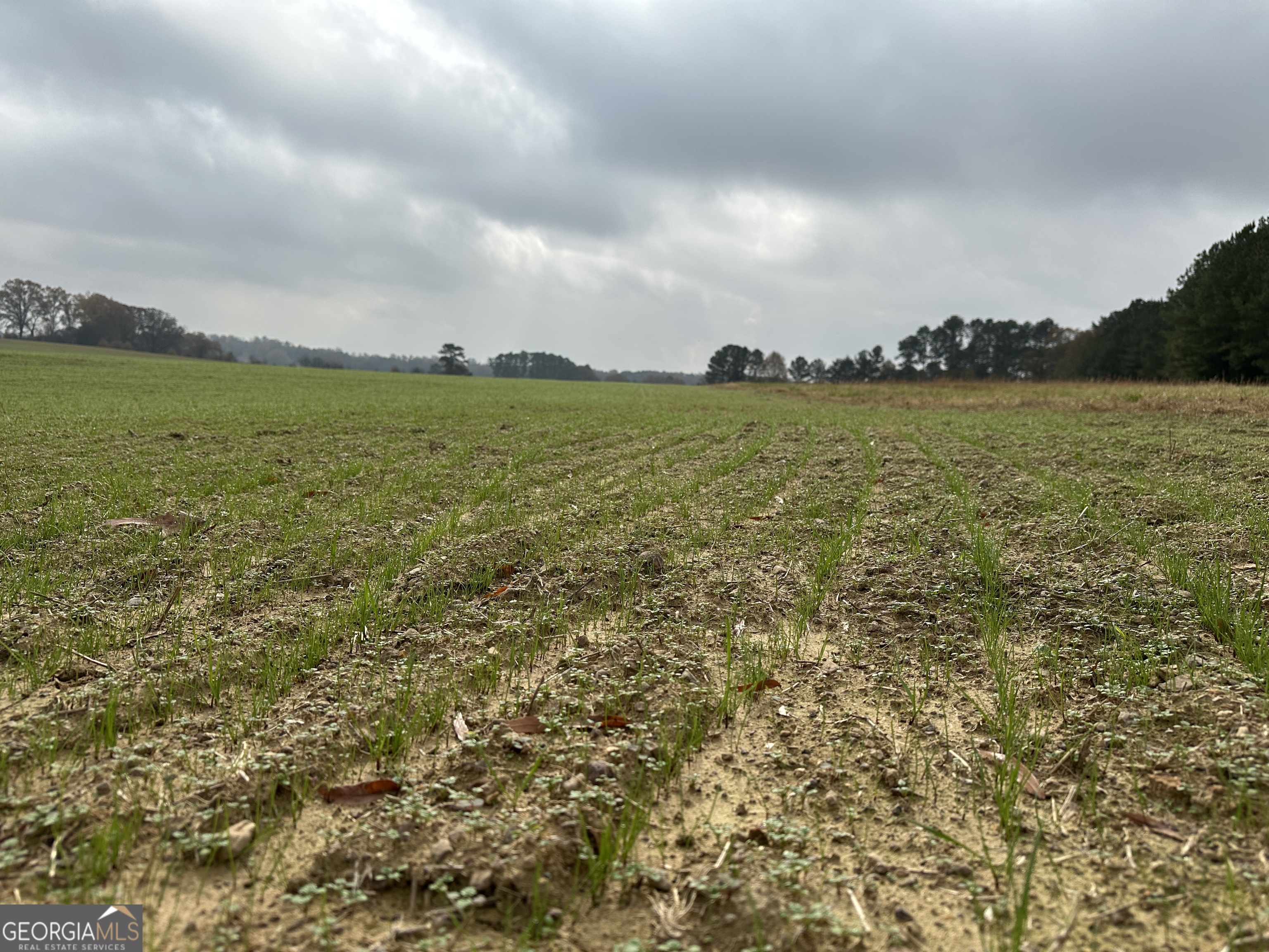 0 Taylorsville Macedonia/Miller Farm RD