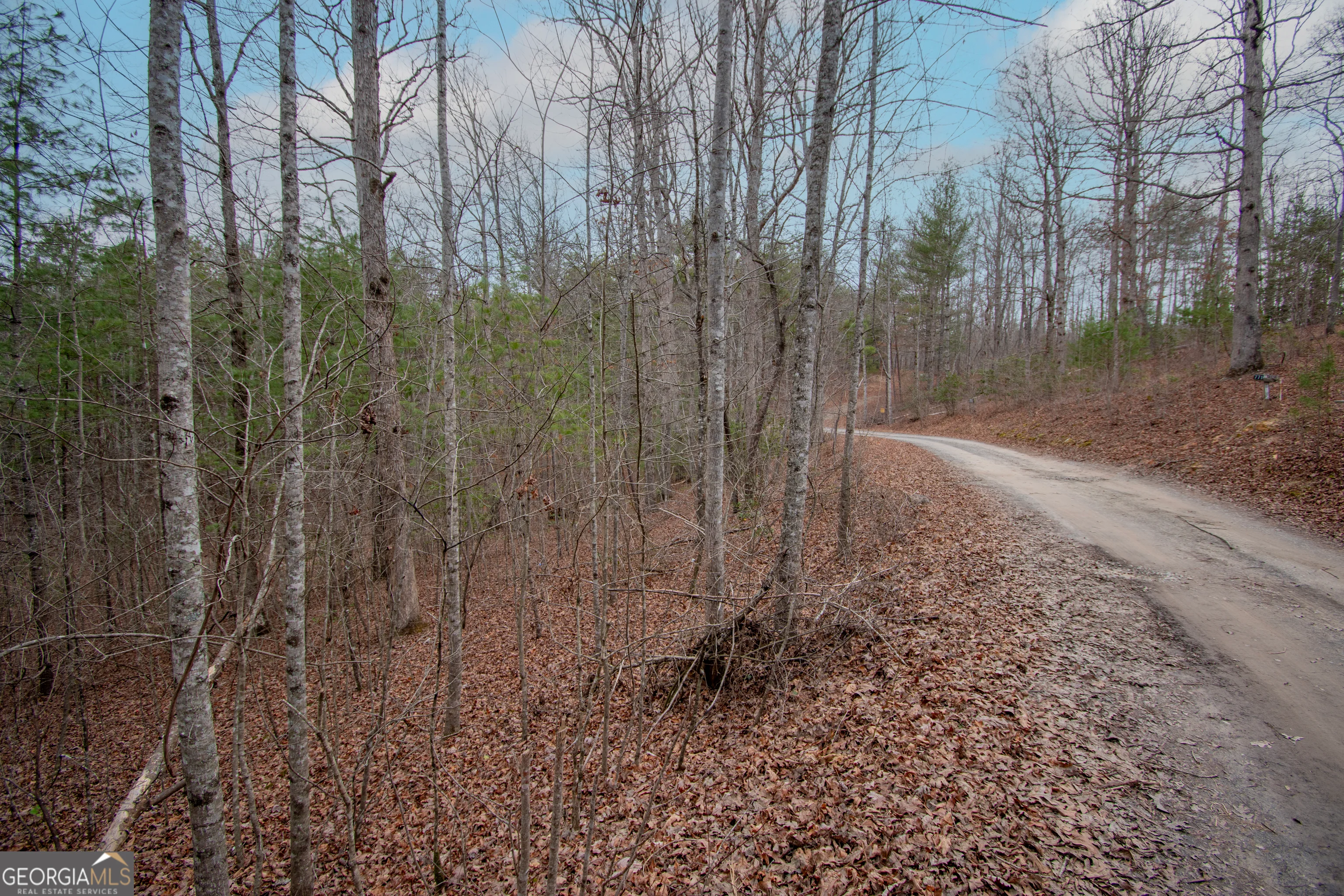 LOT 38 Posey Place