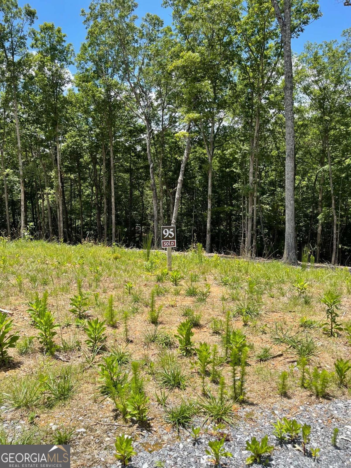 LOT 95 The Ridges