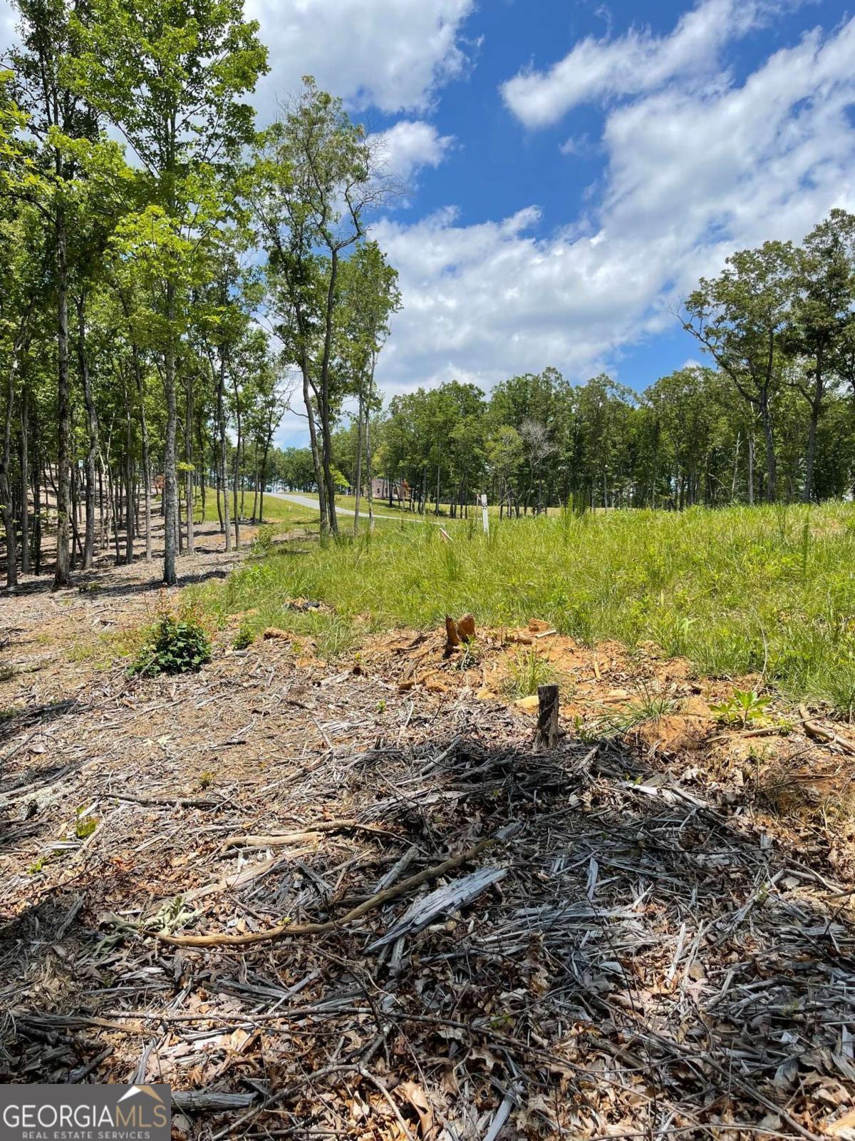 LOT 95 The Ridges