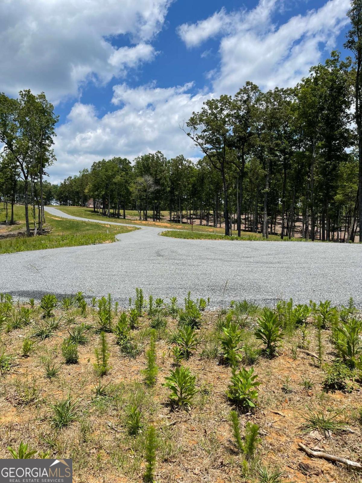 LOT 95 The Ridges