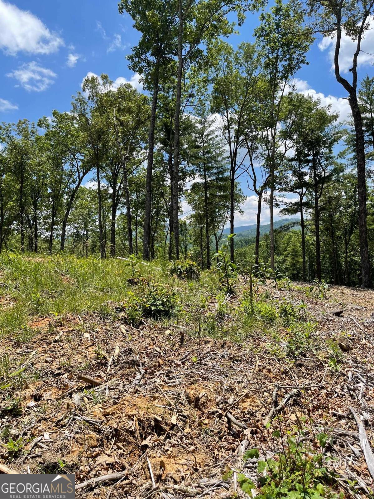 LOT 95 The Ridges