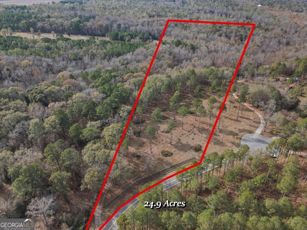 Photo of 350 Lee Paul Road, Hawkinsville, GA 31036 (MLS # 10672635)