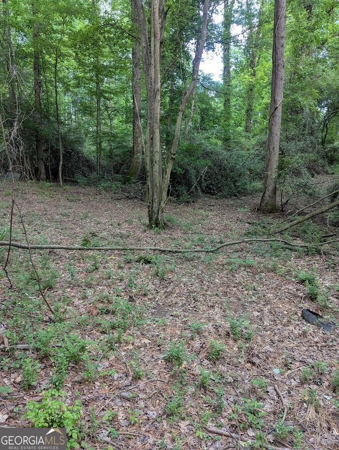 4.2 +/-ACRES River RD