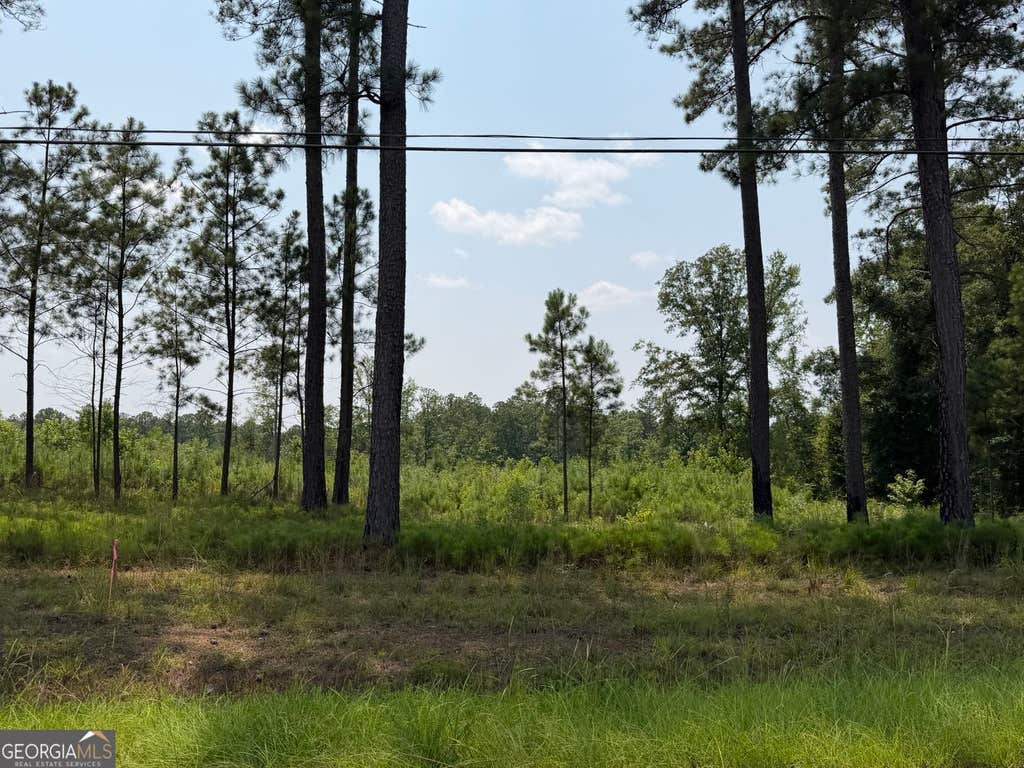 Photo of 734 Giles Road, Forsyth, GA 31029 (MLS # 10824549)