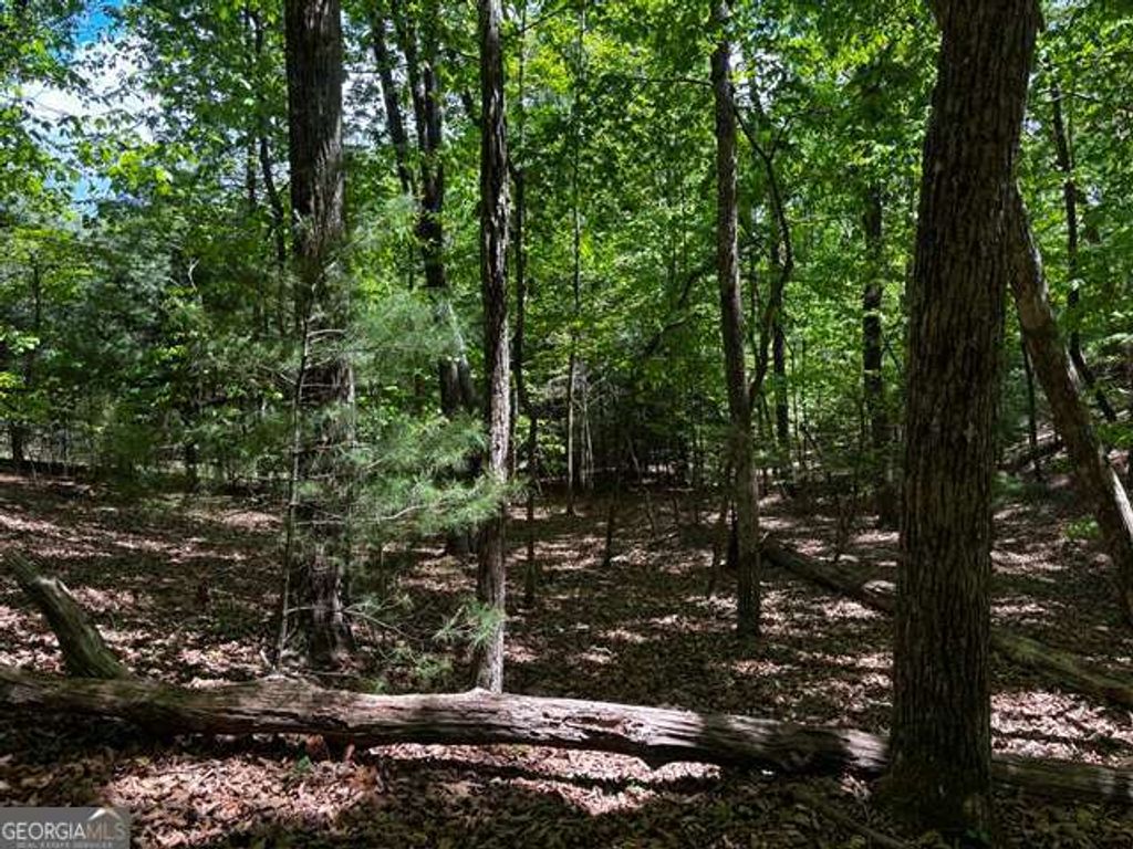 Photo of 43 Edgewood Trail, Blairsville, GA 30512 (MLS # 10760565)