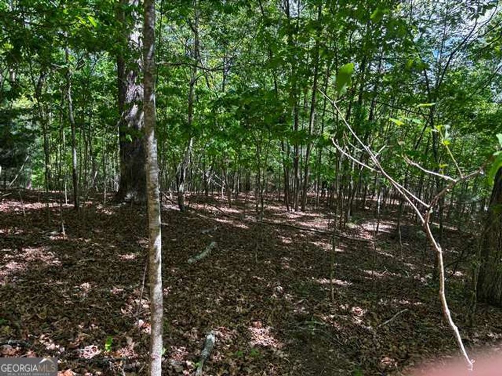 Photo of 43 Edgewood Trail, Blairsville, GA 30512 (MLS # 10760565)