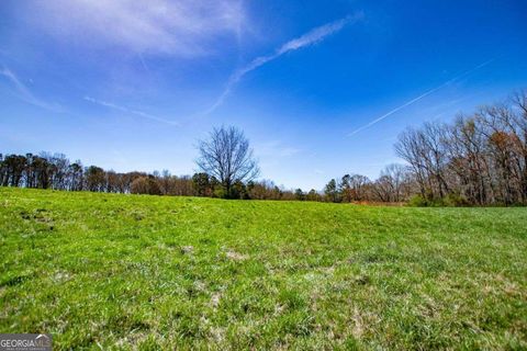 Photo of 353 South Prospect Avenue, Waco, GA 30182 (MLS # 10713800)