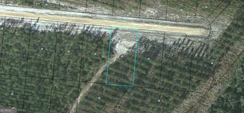 Photo for LOT 70 Satilla Plantation