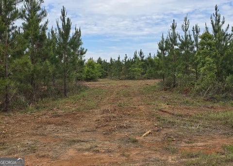 Photo of 27 Marvin Murphy, Ellaville, GA 31816 (MLS # 10795690)