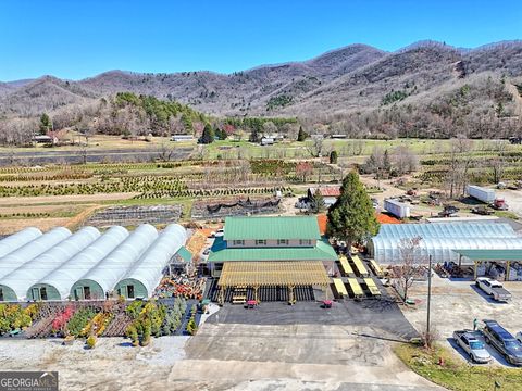 4772 Highway 441 N Rabun Gap GA 30568