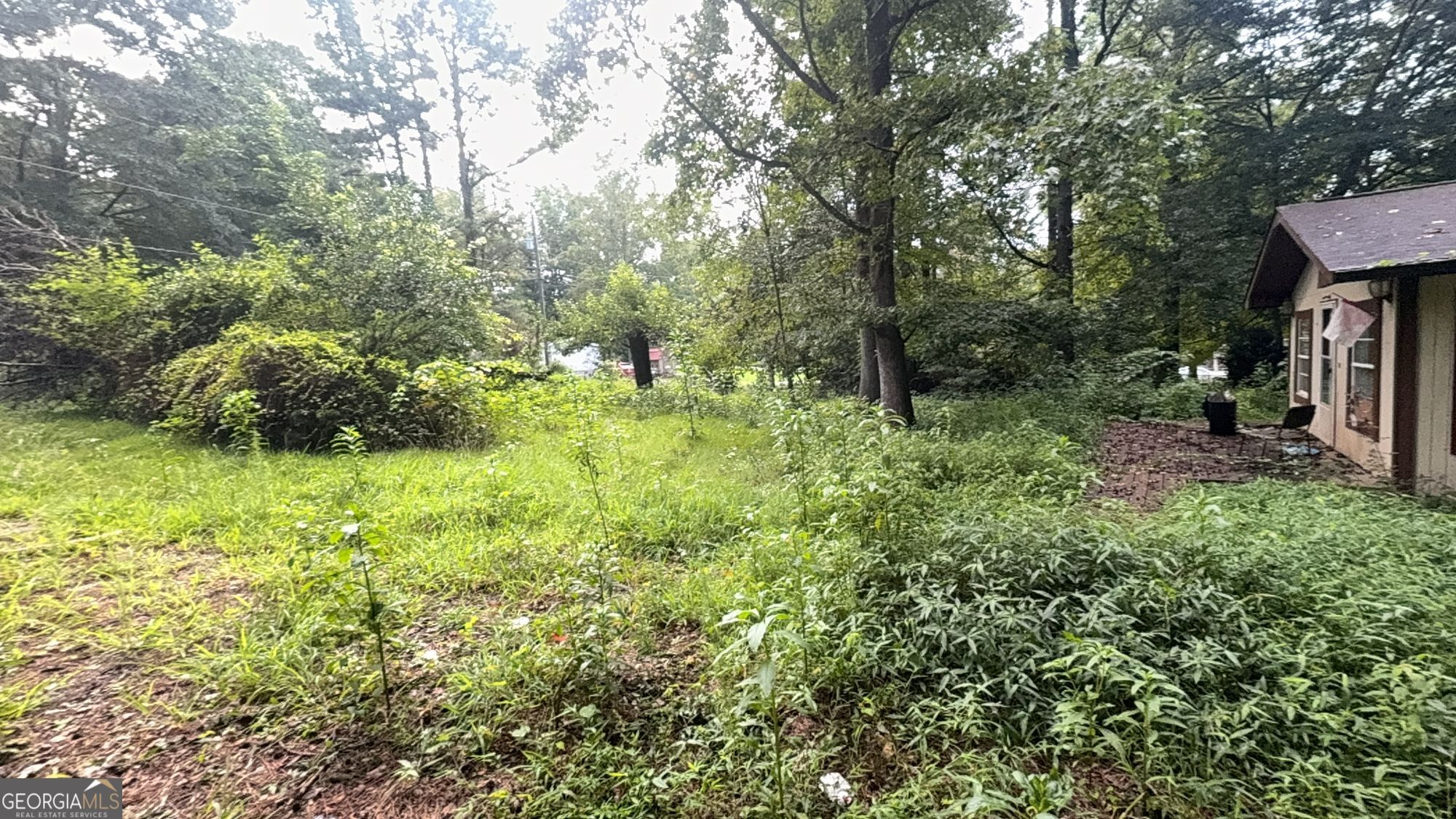 20 Quail TRL