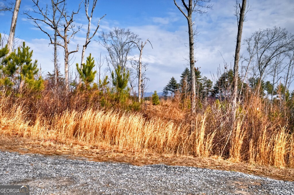 28 Mountaintown OVLK