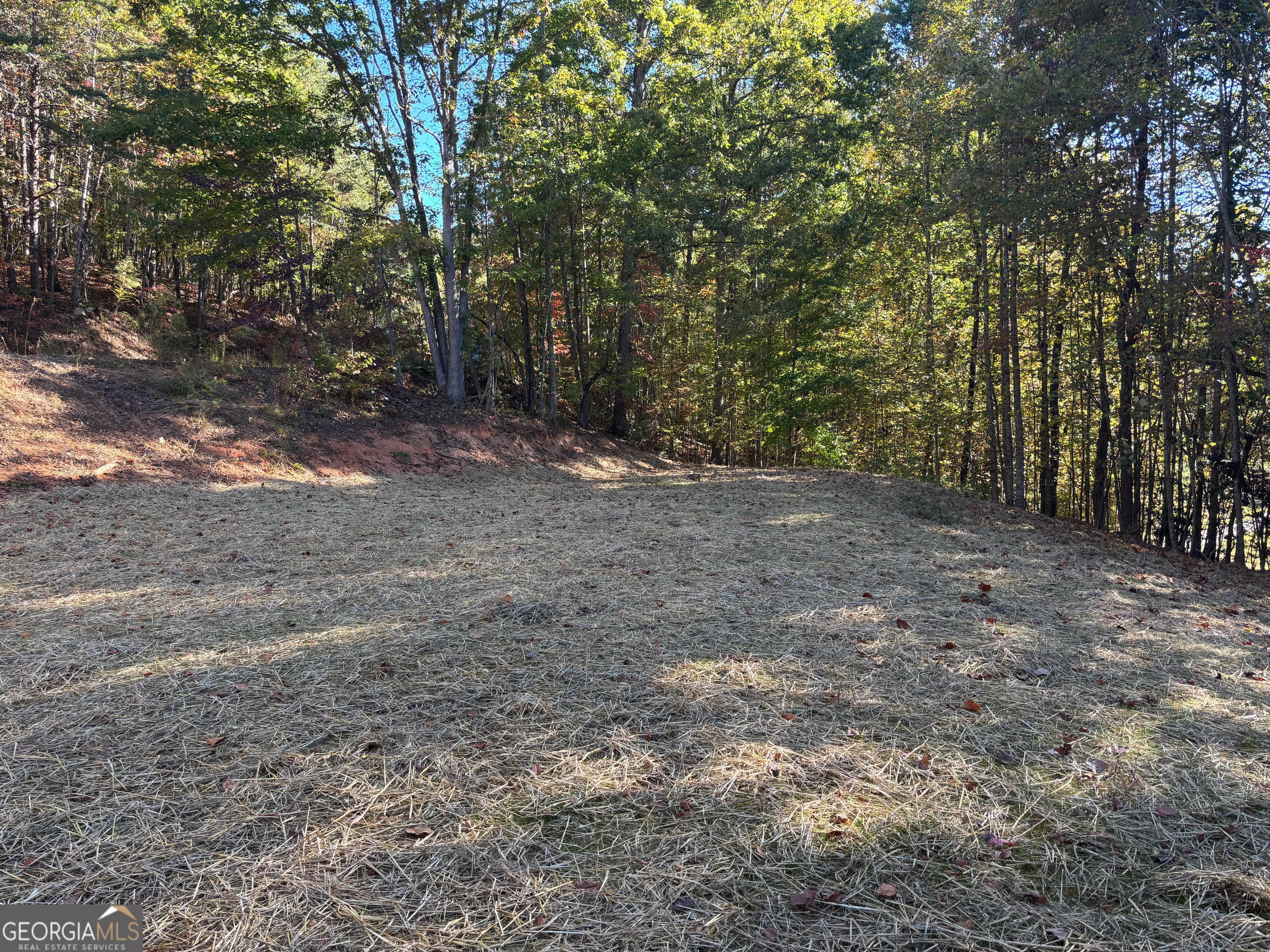114 Tall Oak DR