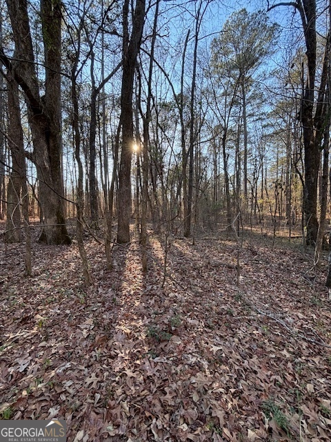 Bring your builder and build your forever home on this Leveled lot in the Stone Lea subdivision with no HOA! If you can envision a cozy retreat, this lot promises the perfect canvas to create a harmonious blend of nature and leisure. Enjoy a calm and peaceful lifestyle convenient to shopping, restaurants, entertainment, easy access to the interstates and the Atlanta International Airport.