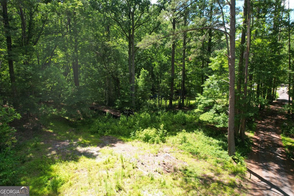 Photo of 4165 Pittman Road, South Fulton, GA 30349 (MLS # 10793773)