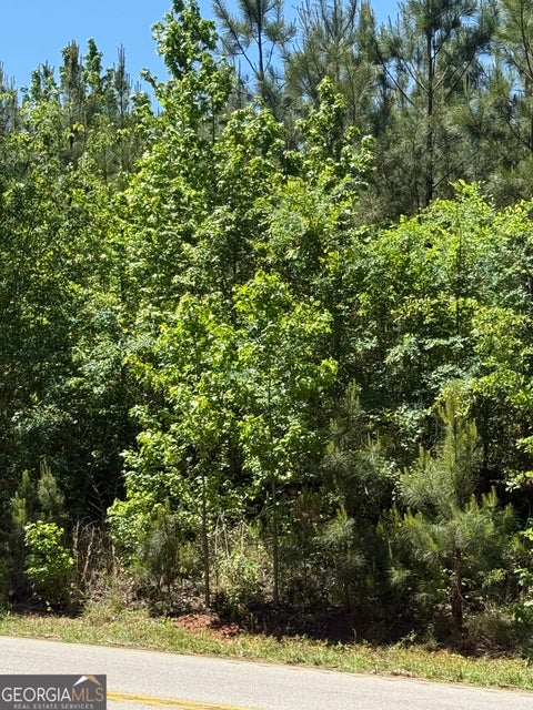 Photo for 10 ACRES Woodbury Hwy